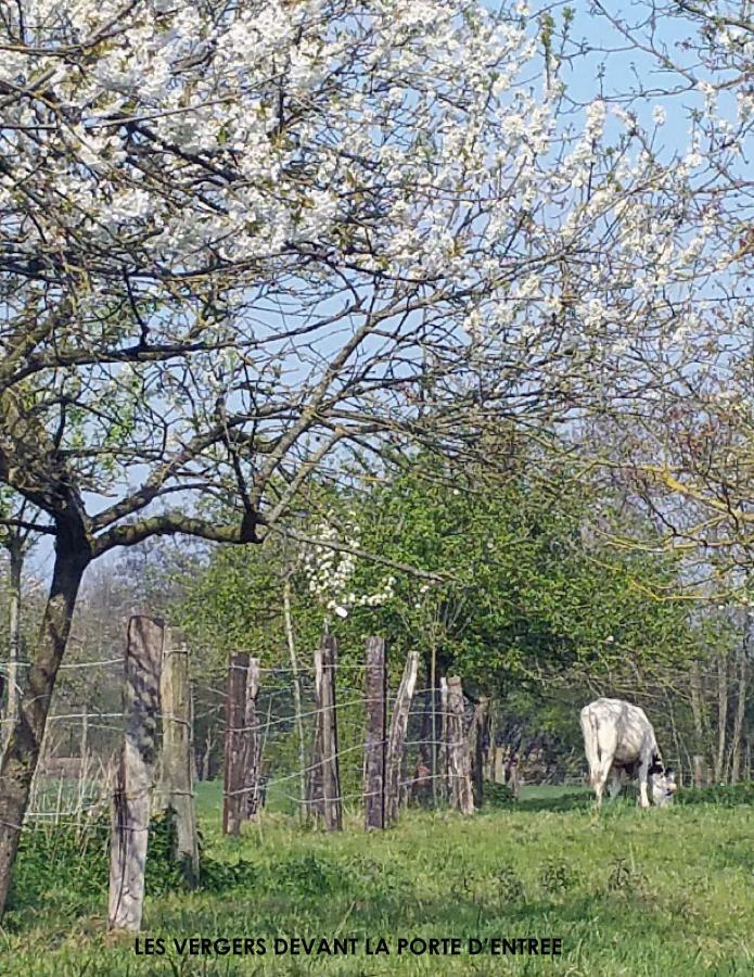 La Cense Pierrot Des Princes Saint-Amand-les-Eaux Dış mekan fotoğraf